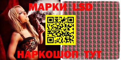 индика Кингисепп