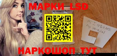 индика Кингисепп