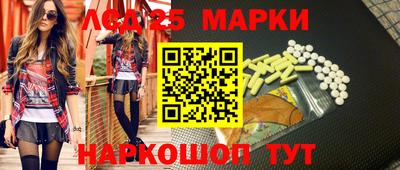 индика Кингисепп