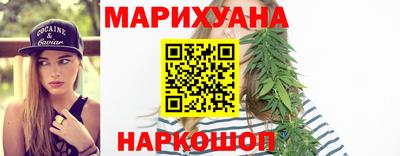 индика Кингисепп
