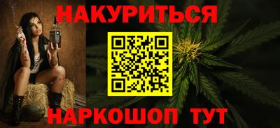 индика Кингисепп