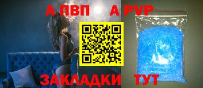 индика Кингисепп