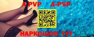 индика Кингисепп