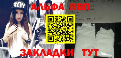 индика Кингисепп